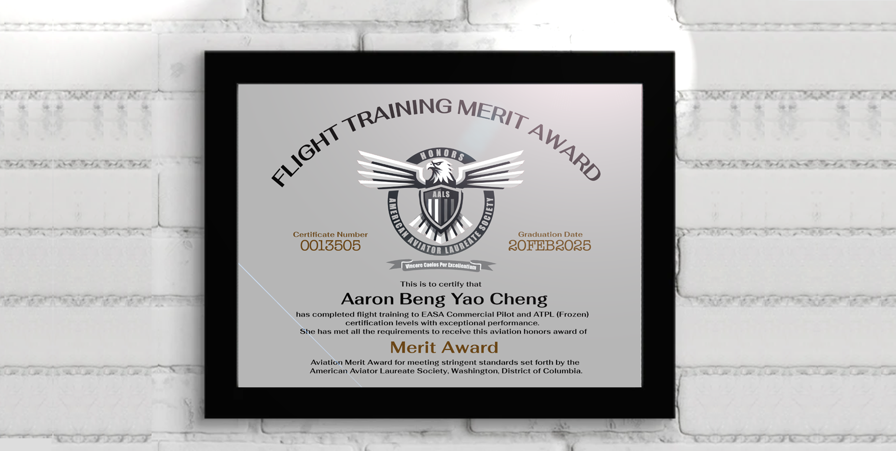 Aviation Merit Award